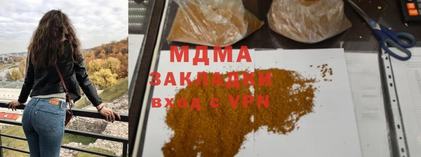 прущие грибы Новозыбков