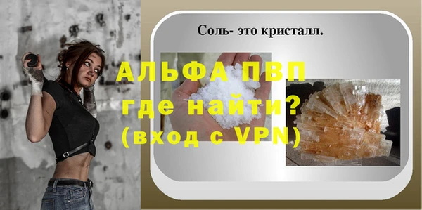 прущие грибы Новозыбков