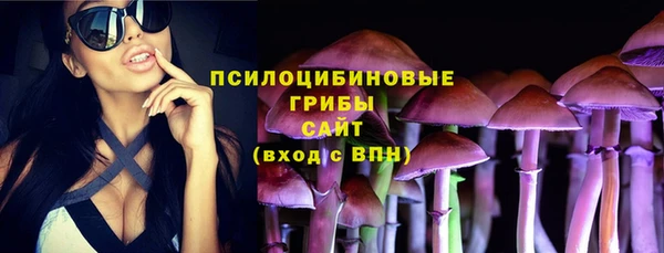 каннабис Новодвинск