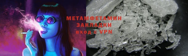 прущие грибы Новозыбков