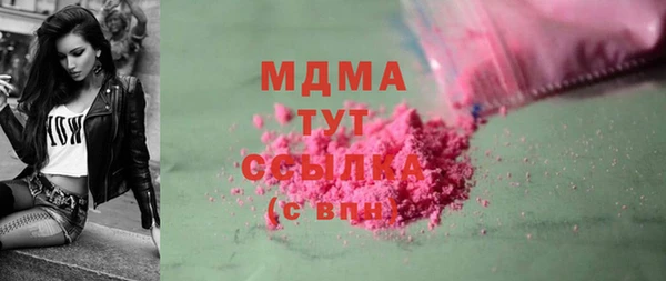 прущие грибы Новозыбков