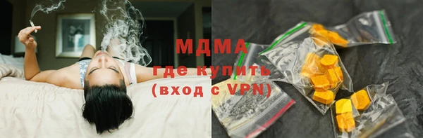 прущие грибы Новозыбков