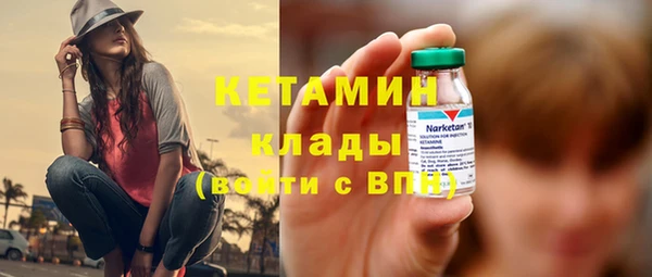 прущие грибы Новозыбков