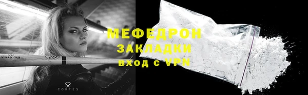 прущие грибы Новозыбков