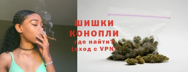 прущие грибы Новозыбков