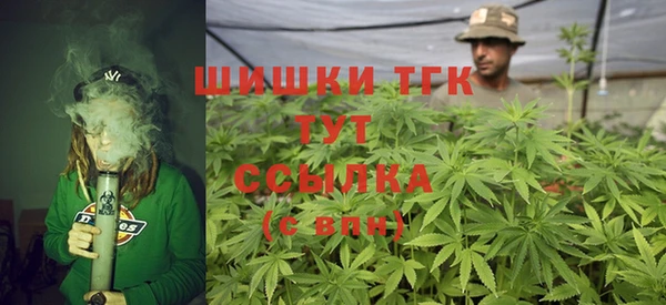 прущие грибы Новозыбков