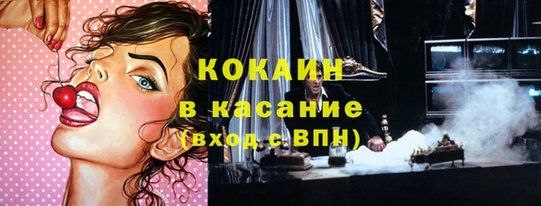 прущие грибы Новозыбков