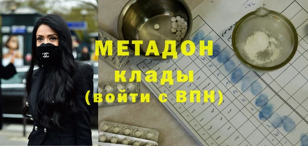 прущие грибы Новозыбков