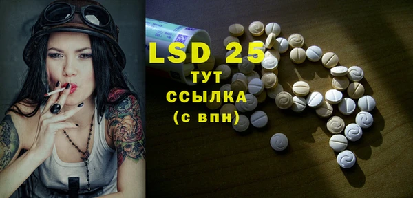 прущие грибы Новозыбков