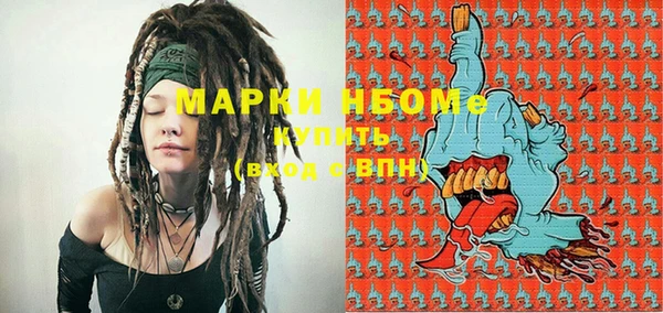 прущие грибы Новозыбков