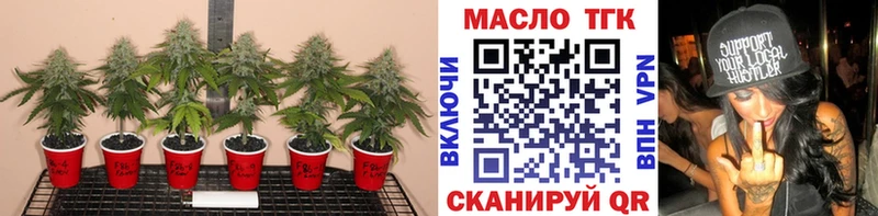дарнет шоп  omg онион  ТГК гашишное масло  Саратов 