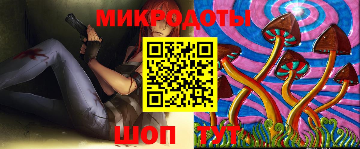 Галлюциногенные грибы Psilocybe Саратов